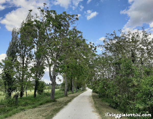 la via dei tesori jesi moie