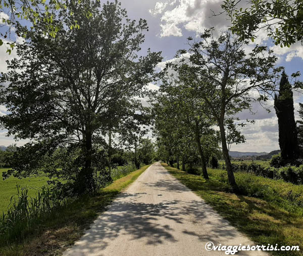 via dei tesori da jesi a moie