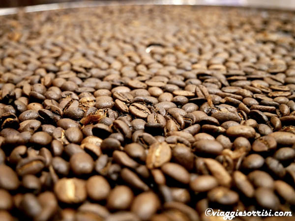 caffè casolino termoli