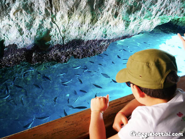 grotta delle viole isole tremiti