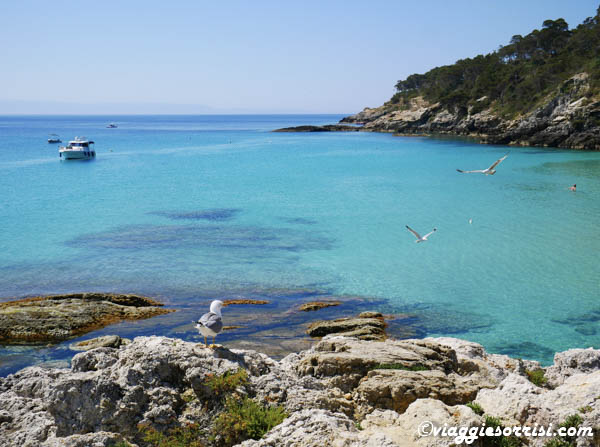 isole tremiti isole tremiti