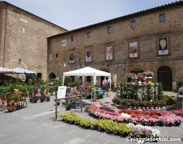 casole d'elsa museo