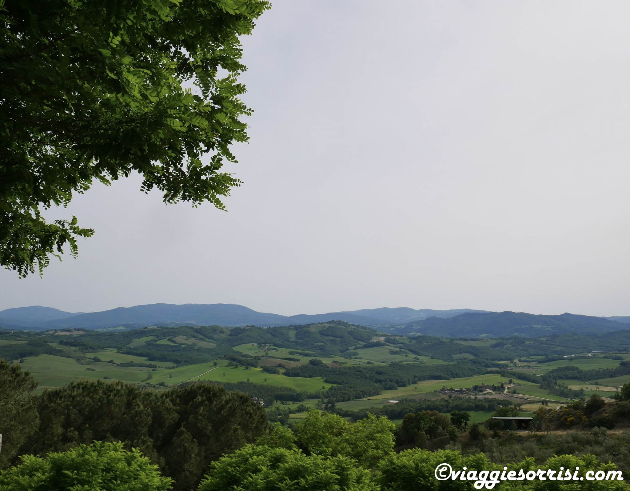 colline senesi casole d'elsa