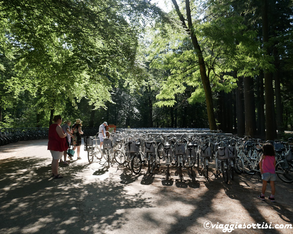 bici al parco de hoge