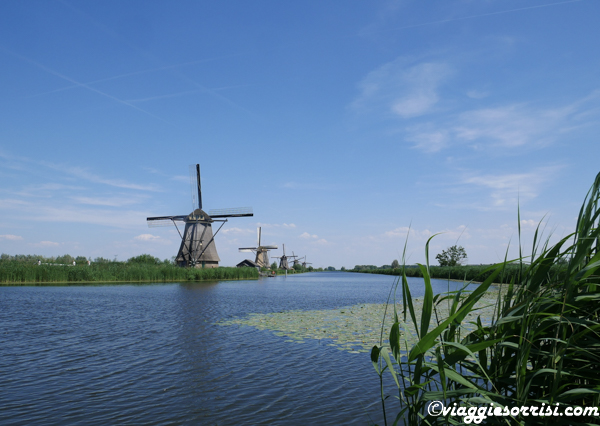 mulini in olanda