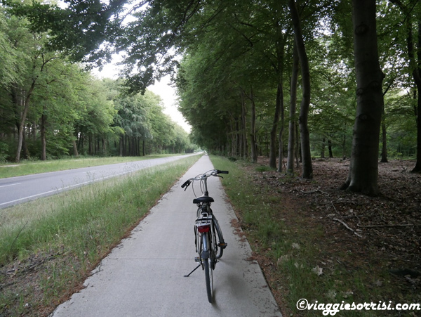 piste ciclabili olanda