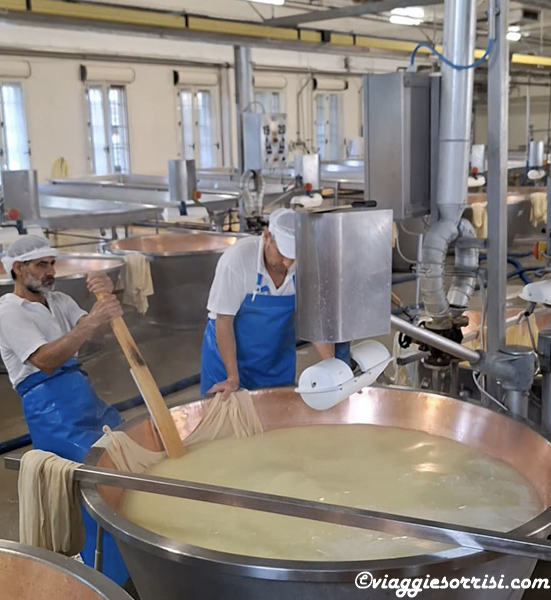 visita Caseificio parmigiano reggiano 2