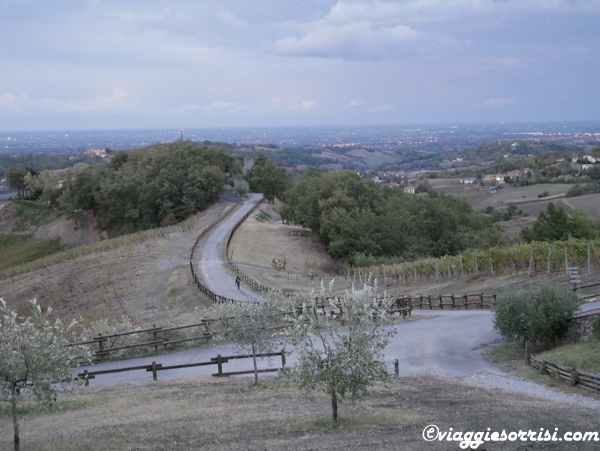 cantina il poggio salsomaggiore