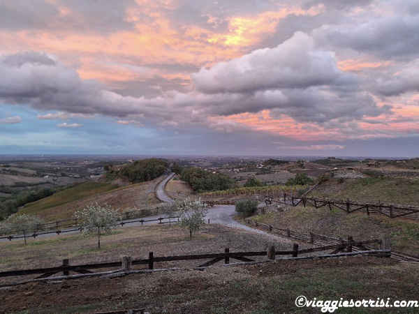 cantina il poggio scritta tour il mito della malvasia