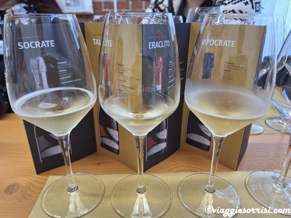 degustazione cantina cerdelli