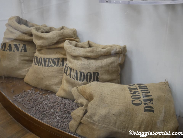 cacao visita allla casa museo del cioccolato