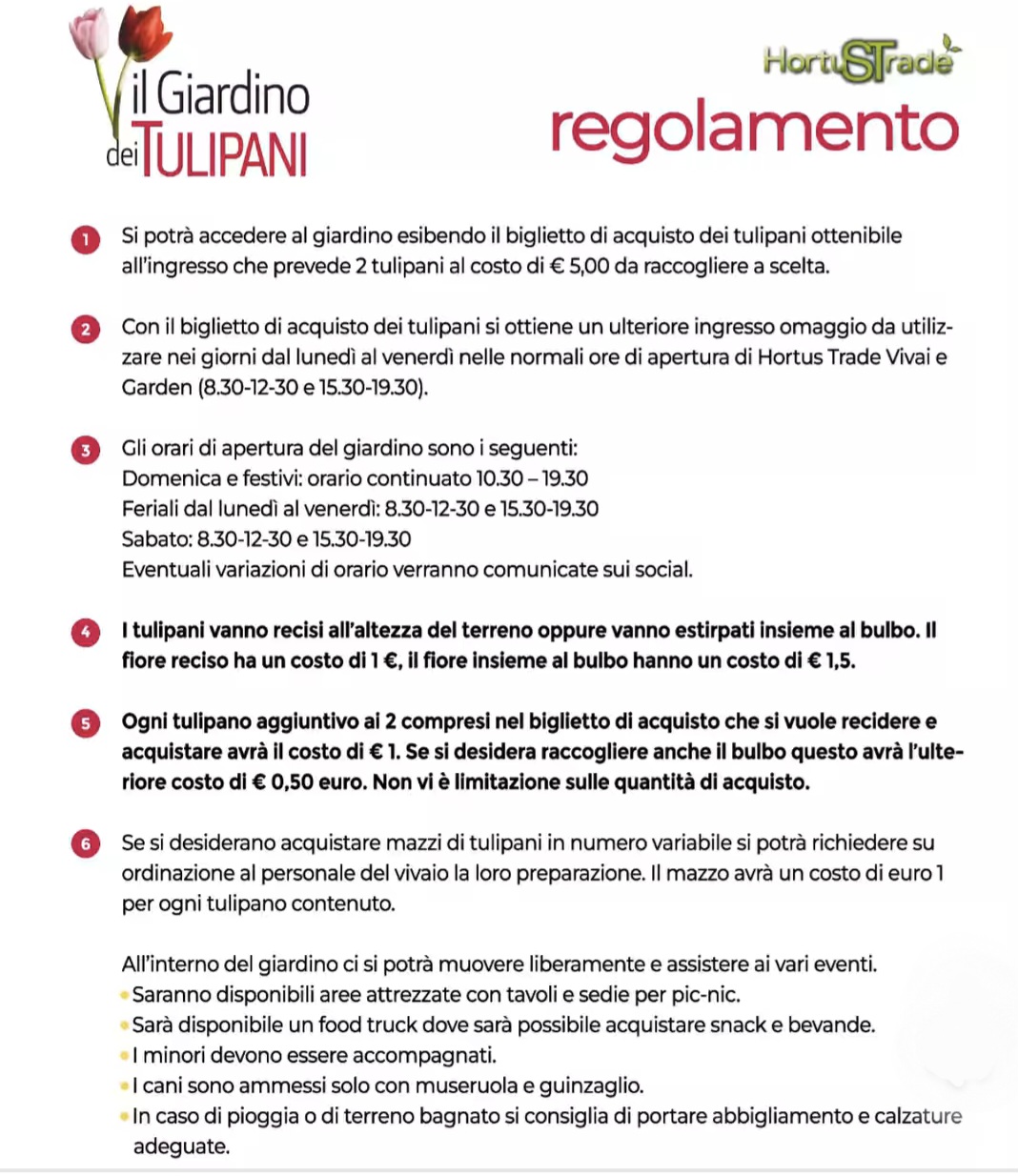 dove vedere i tulipani marche