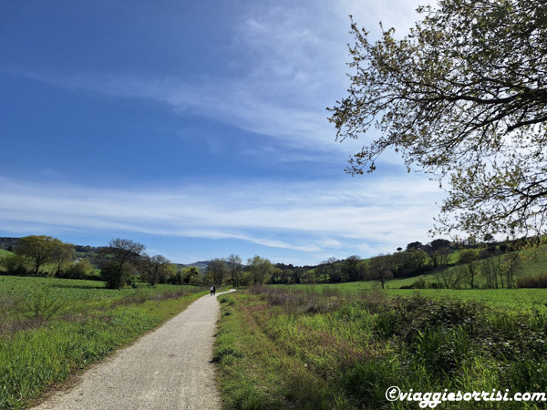 ciclopedonale da ancona a portonovo