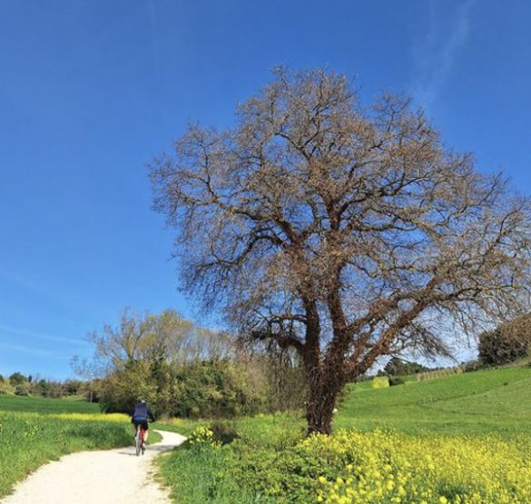 la ciclopedonale del conero