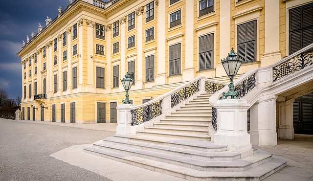vienna cosa fare