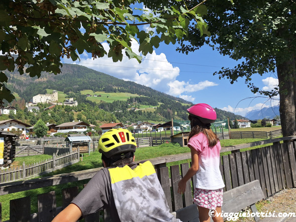PISTA CICLABILE SAN CANDIDO LIENZ ANIMALI