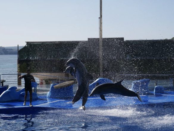 marineland mallorca