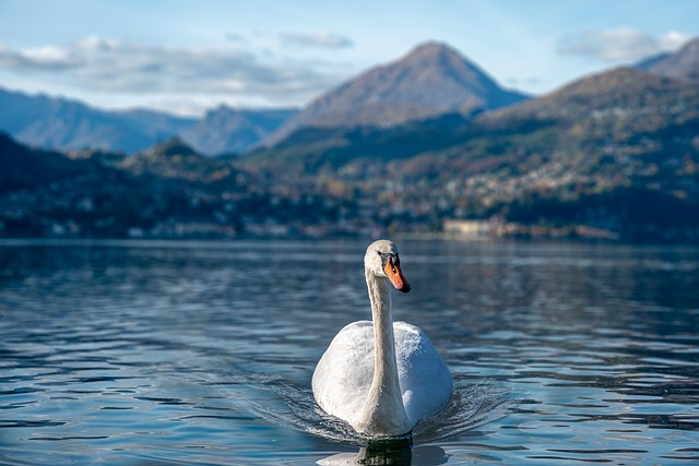 cosa fare e vedere lago di como