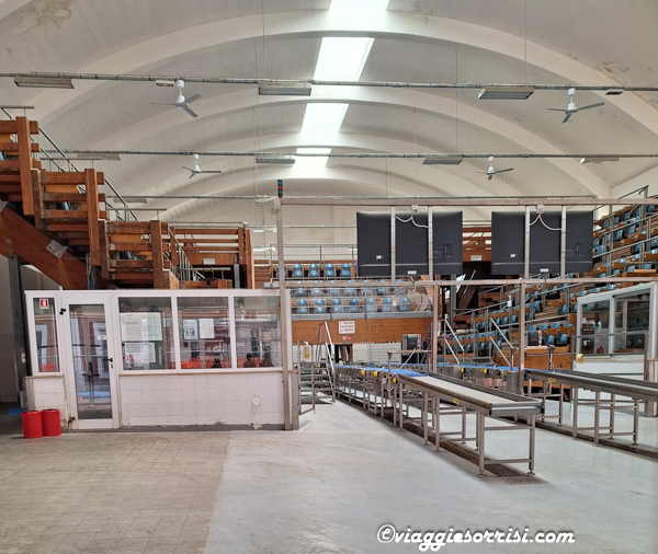 mercato ittico san benedetto