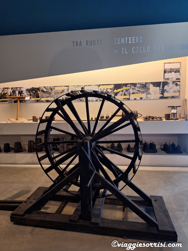 museo del mare a san benedetto del tronto (2)