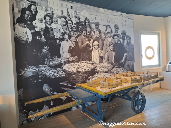 museo del mare a san benedetto del tronto (2)
