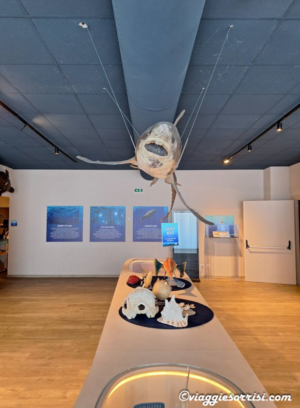 museo ittico san benedetto