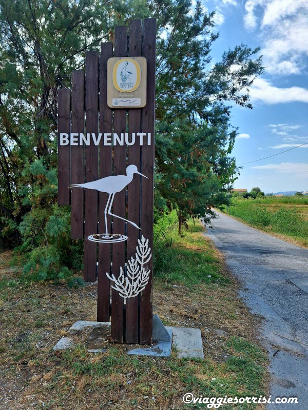 riserva naturale sentina san benedetto del tronto (1)