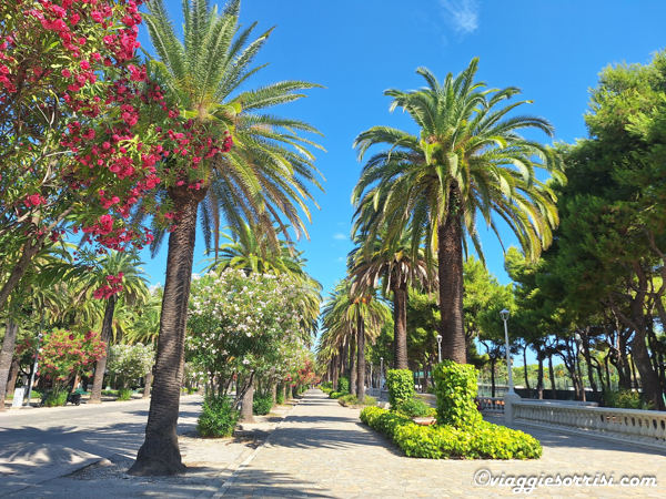 san benedetto del tronto cosa fare e vedere