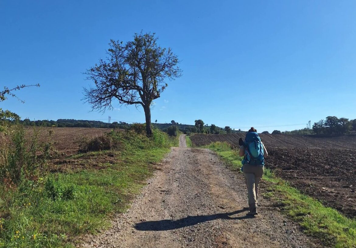cammino dell'intrepido larth